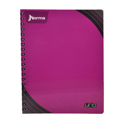CUADERNO PROFESIONAL DOBLE ARGOLLA UNO100 HJ RAYA NORMA