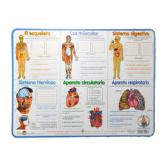 MANTEL INDIVIDUAL SISTEMA CUERPO EDUCACTIVITY