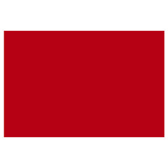 PAPEL LUSTRE 50X70 ROJO JLM MNK