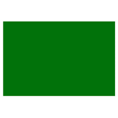 PAPEL LUSTRE 50X70 VERDE BANDERA JLM MNK