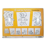 MANTEL INDIVIDUAL CUERPO HUMANO EDUCACTIVITY