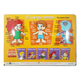 MANTEL INDIVIDUAL CUERPO HUMANO EDUCACTIVITY