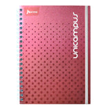 CUADERNO PROFESIONAL DOBLE ARGOLLA UNICAMPUS METALICO 120 HJ RAYA NORMA MNK
