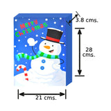 CAJA REGALO NAVIDAD 3 PZ NAVIDAD 4 SEASONS