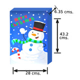 CAJA REGALO NAVIDAD 1 PZ NAVIDAD 4 SEASONS