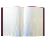 FOLDER CARTA MICAS 20 PZ FX20 GOBA BARRILITO