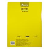 CUADERNO PROFESIONAL COSIDO COLOR 360 100 HJ RAYA NORMA MNK