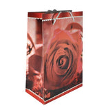 BOLSA REGALO MEDIANA SAN VALENTIN BOLSA