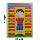 POSTER DIDACTICO CUERPO 1313-1 GRANMARK