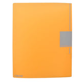 FOLDER CARTA PROTECTORES 30 PZ CLB-30CS MAE