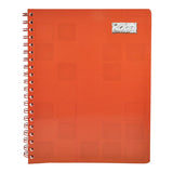 CUADERNO PROFESIONAL DOBLE ARGOLLA ROCA PLUS 100 HJ DOBLE RAYA 5208 MAN 8A MNK