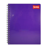 CUADERNO PROFESIONAL DOBLE ARGOLLA CLASICO 100 HJ RAYA 2900 SCRIBE MNK