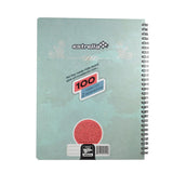 CUADERNO PROFESIONAL DOBLE ARGOLLA WIRE 100 HJ RAYA ESTRELLA MNK