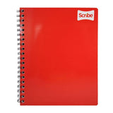 CUADERNO PROFESIONAL DOBLE ARGOLLA CLASICO 100 HJ RAYA 2900 SCRIBE MNK