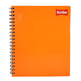 CUADERNO PROFESIONAL DOBLE ARGOLLA CLASICO 100 HJ RAYA 2900 SCRIBE MNK