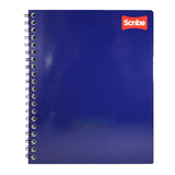 CUADERNO PROFESIONAL DOBLE ARGOLLA CLASICO 100 HJ RAYA 2900 SCRIBE MNK