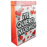 BOLSA REGALO GRANDE SAN VALENTIN BOLSA
