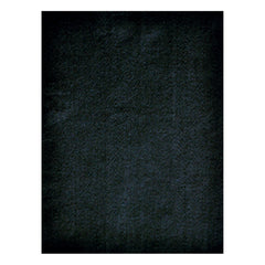 FIELTRO CARTA NEGRO MEXIQUENSE
