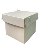 CAJA CUBO 10X10 CM CAJAS