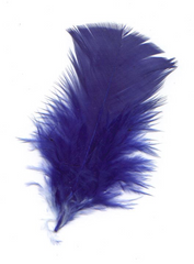 PLUMA DE POLLO PAQ AZUL REY SOCIAL