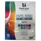 HOJAS COLORES SURTIDOS 100 HJ PADI MNK