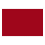 CARTULINA BRISTOL IRIS 50X65 ROJO IMPERIAL MNK